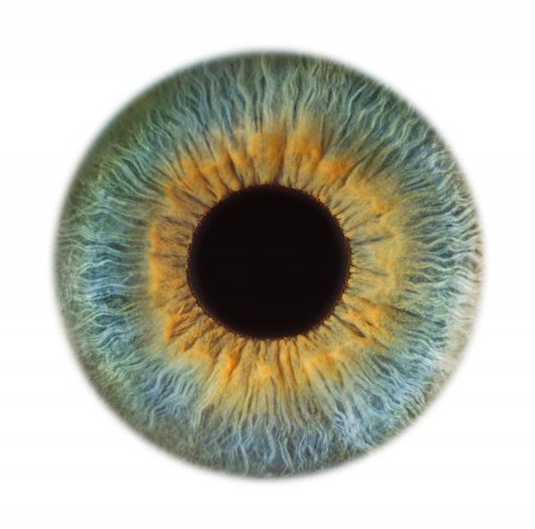 Photograph Jonathan Knowles Vision Express 2 on One Eyeland